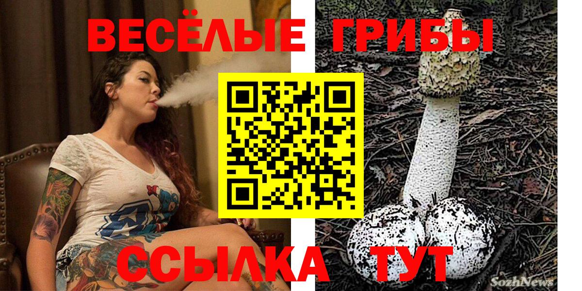 Галлюциногенные грибы Cubensis  Вход с VPN  Верхняя Салда 
